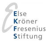 Logo_EKFS_grau_rgb-resized